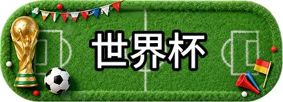 世界杯
